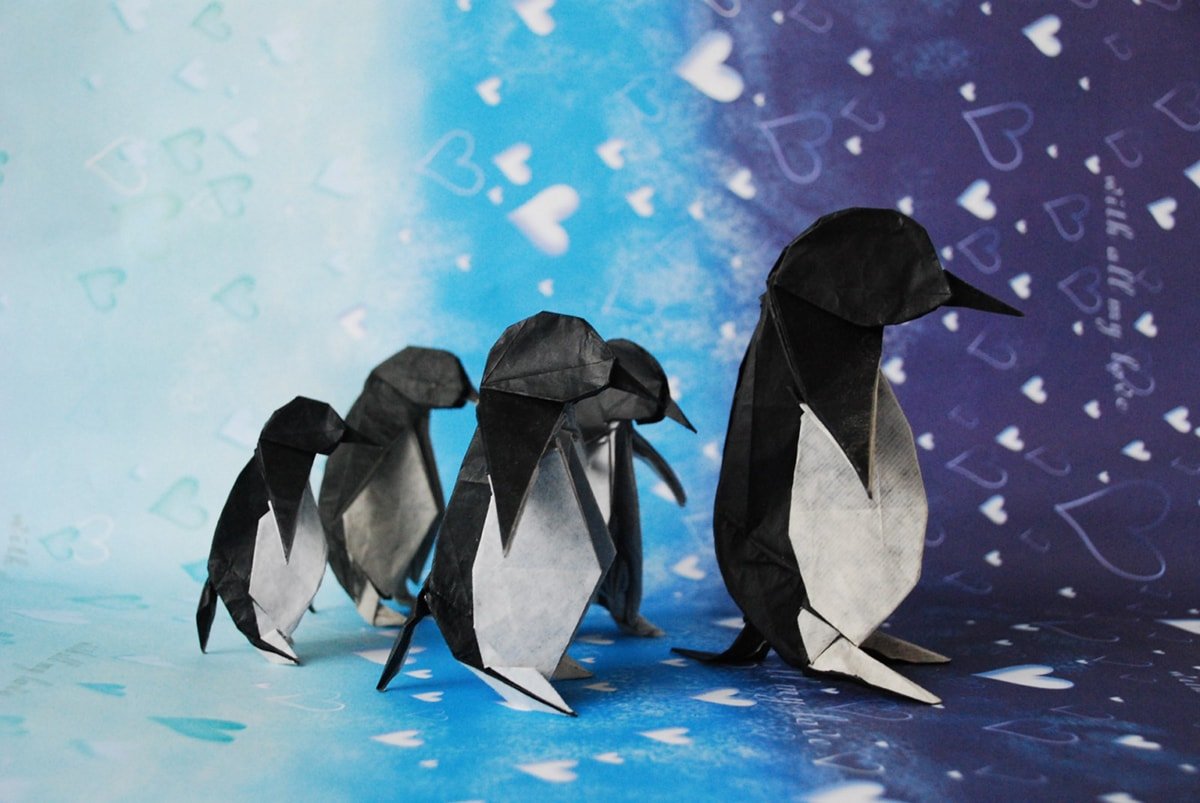 5 Penguins