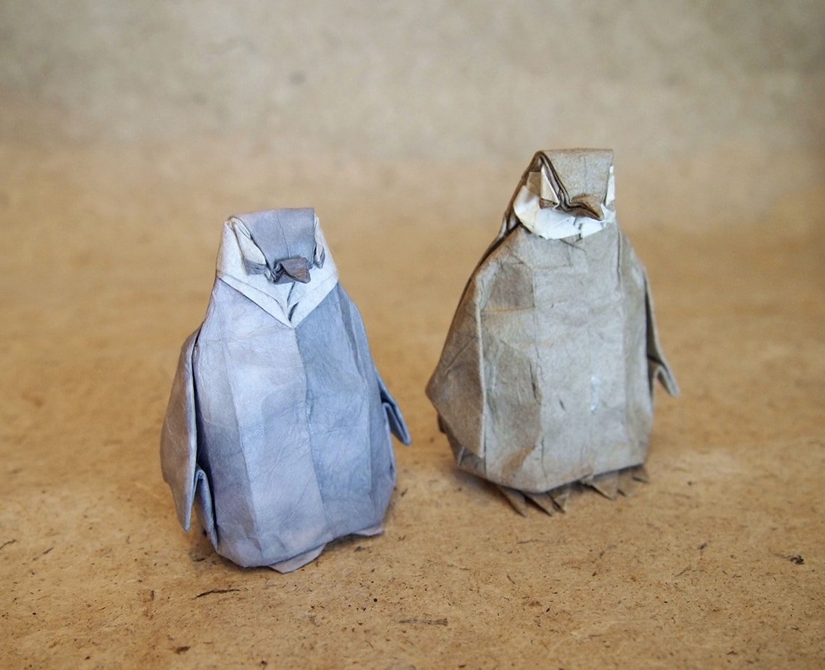 Emperor Penguin Chicks