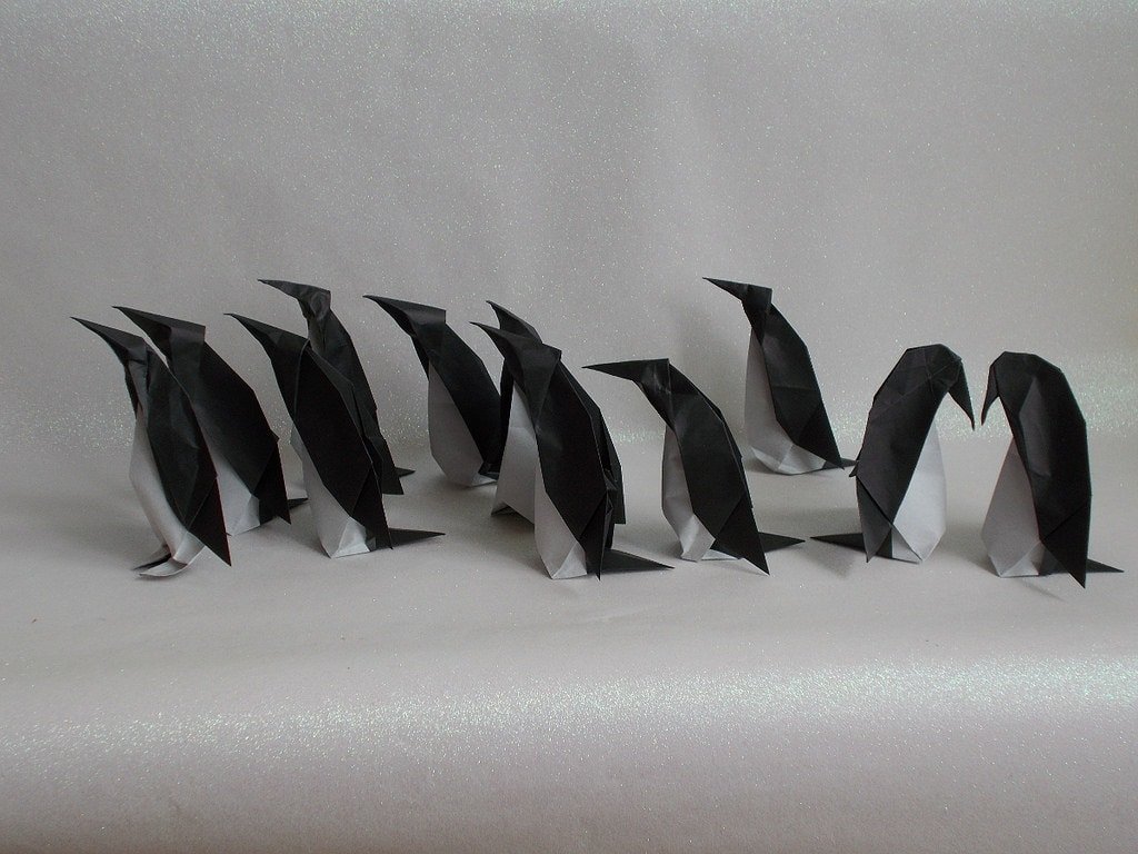 Emperor Penguin Group