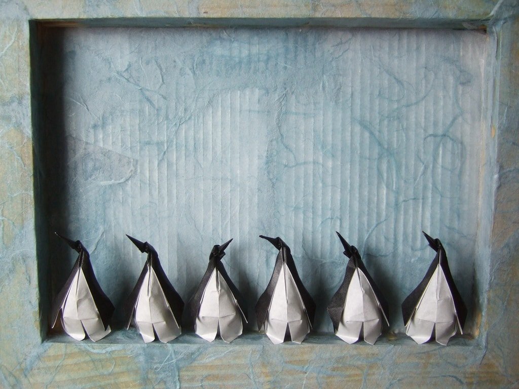 Penguins in a Box