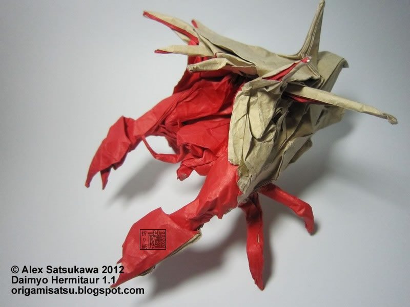 Daimyo Hermitaur