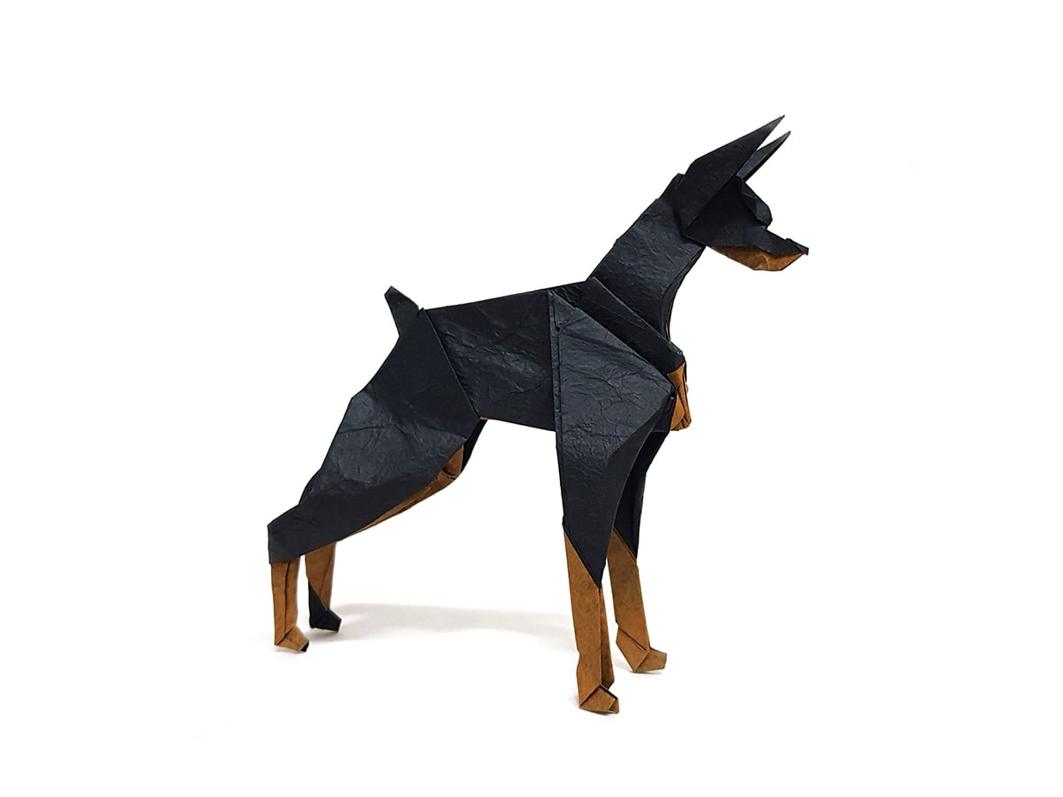 Doberman