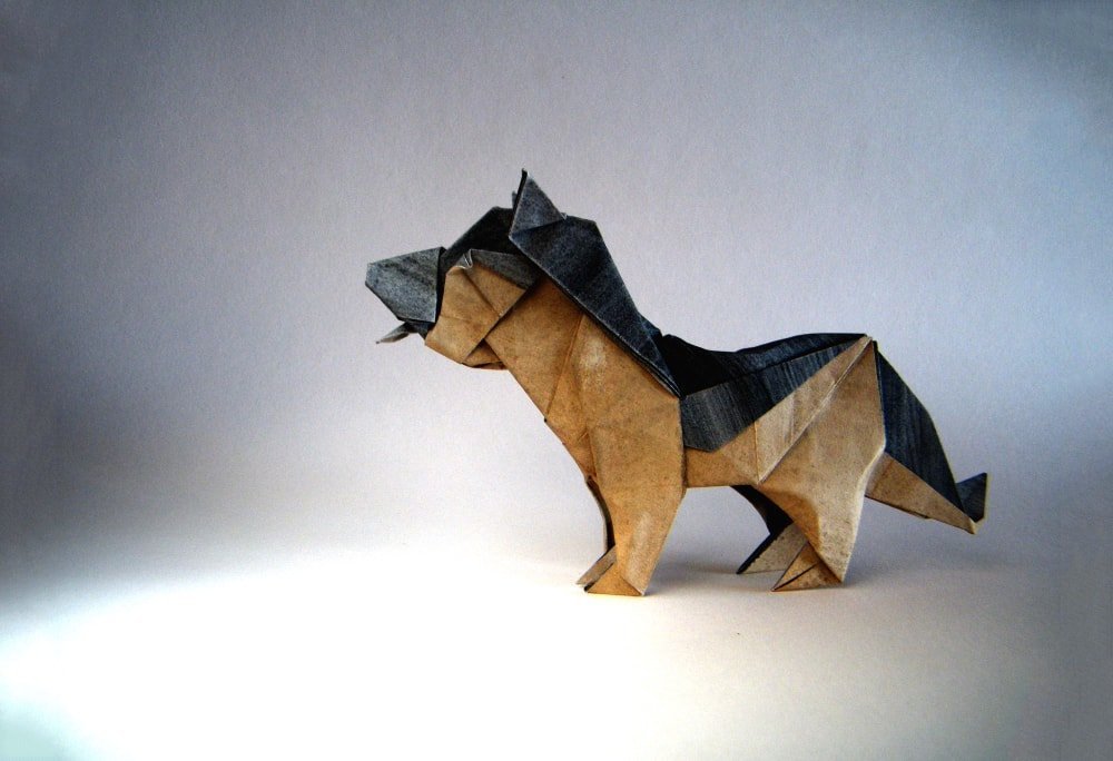 German Shepherd Puppy