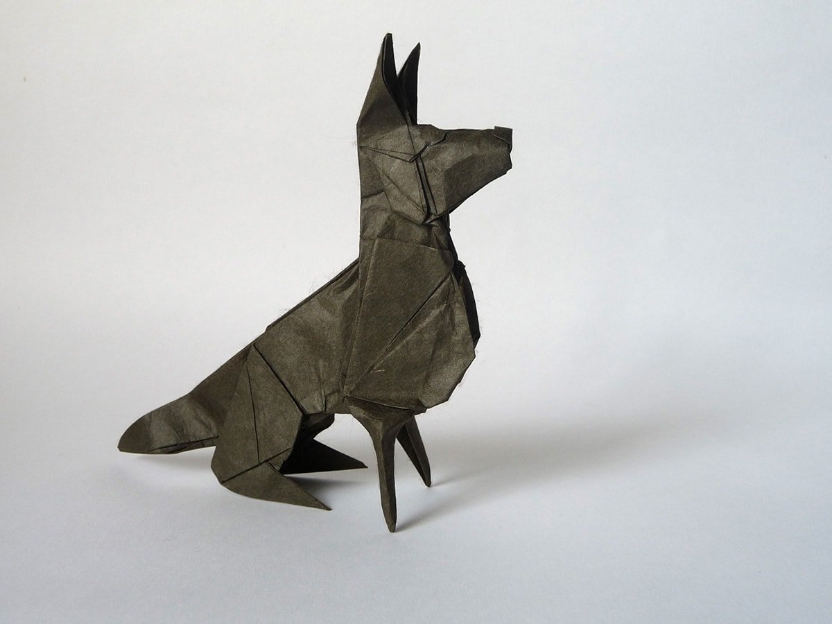 Perro - Andrey Ermakov