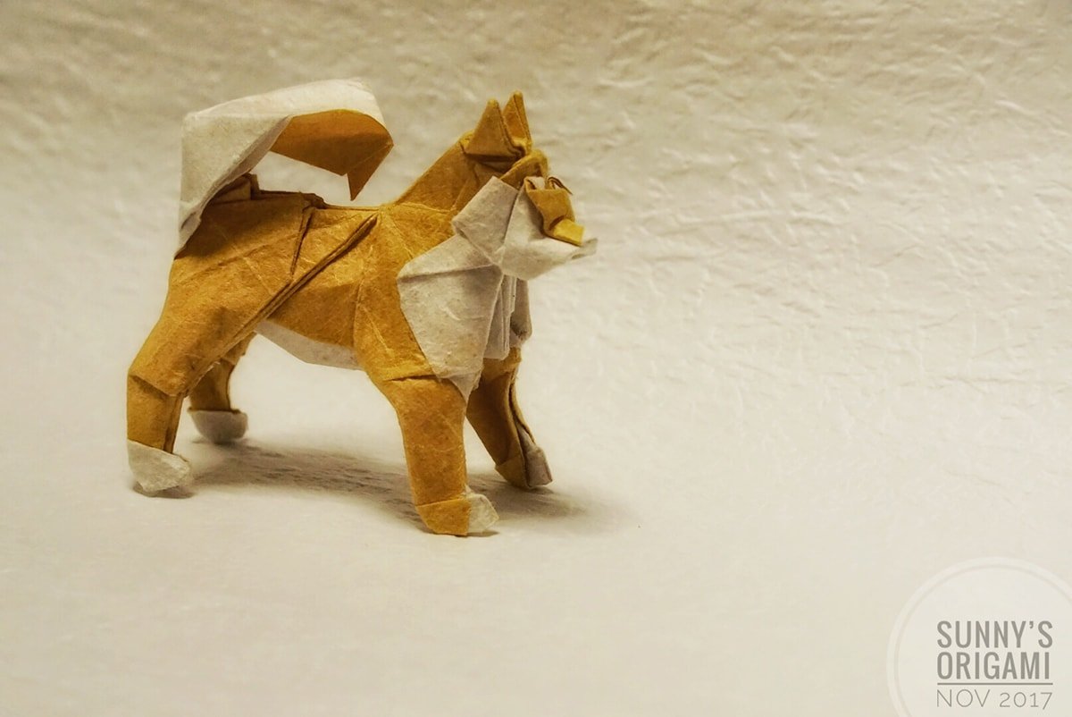 Satoshi Kamiya's Dog