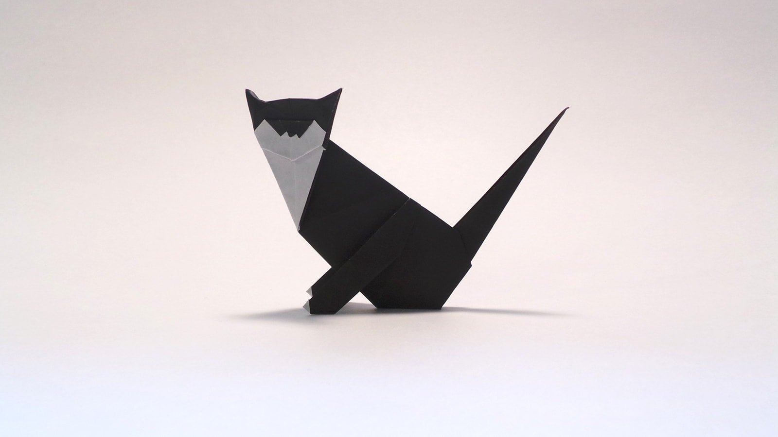 Enough of this Cat! folded by Me