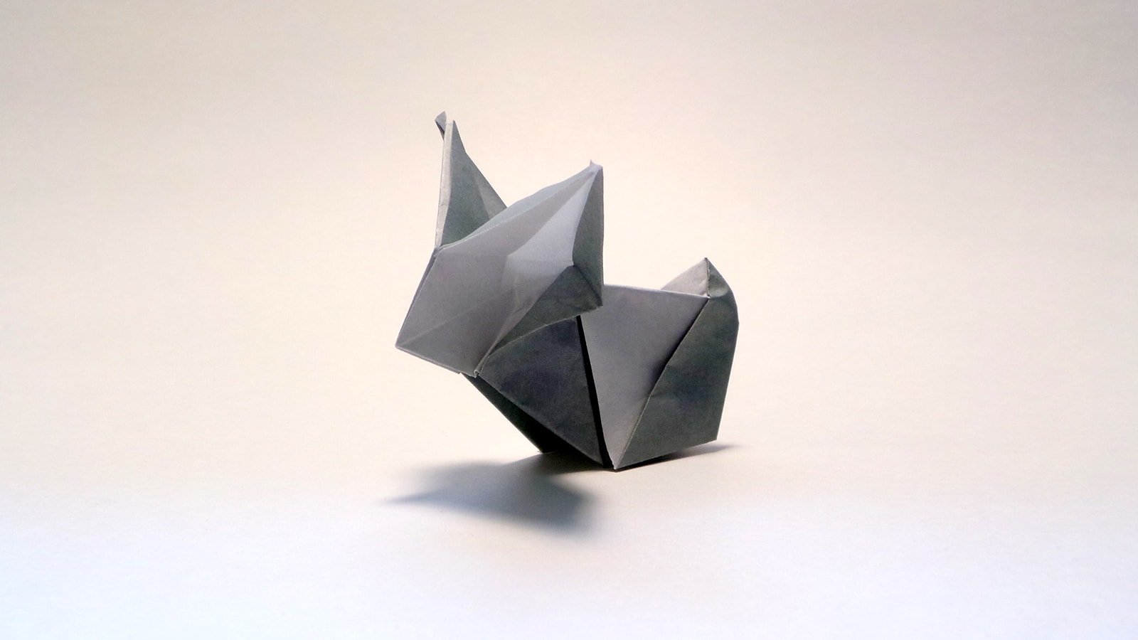 The Dim Sum Bun folded by Me