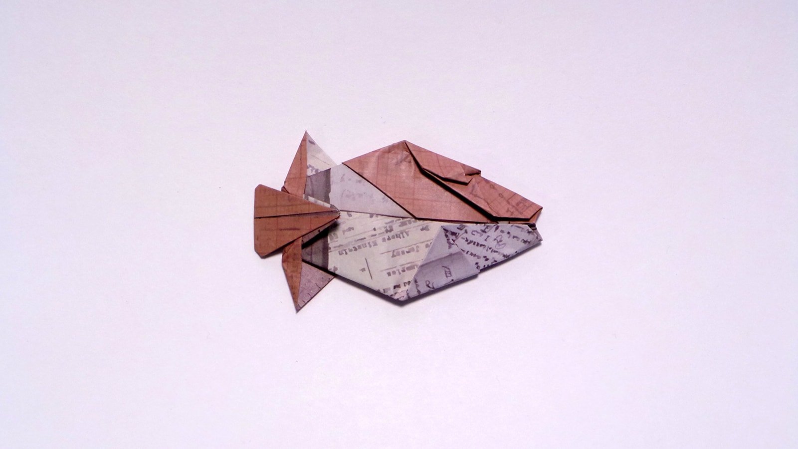 Humuhumunukunukuapua'a folded by Me