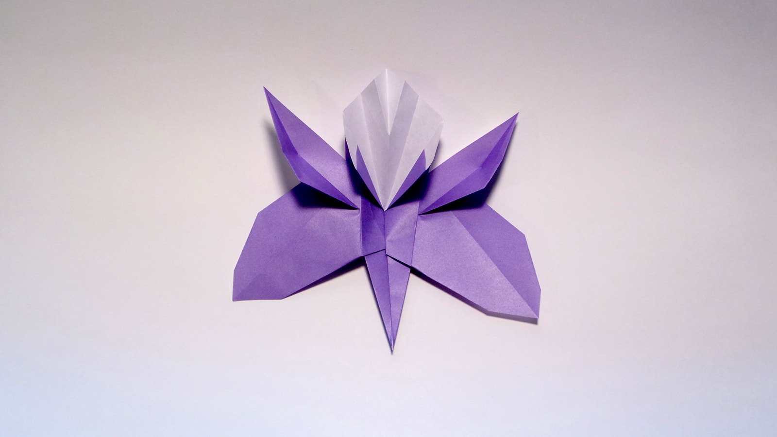 The Wedding Orchid folded by Me