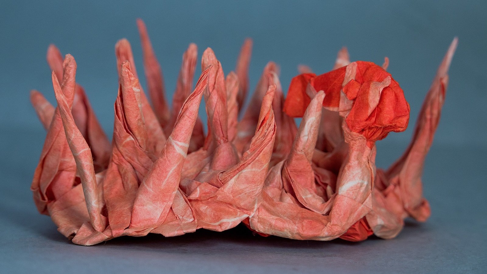 Papercraft Sea Creatures