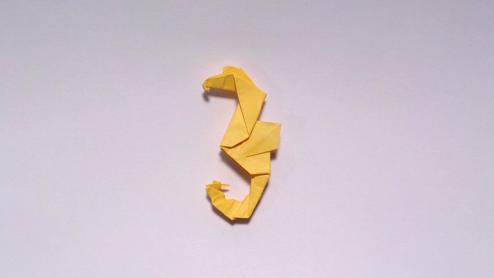 A Seahorse for Al Miyatake folded by Me
