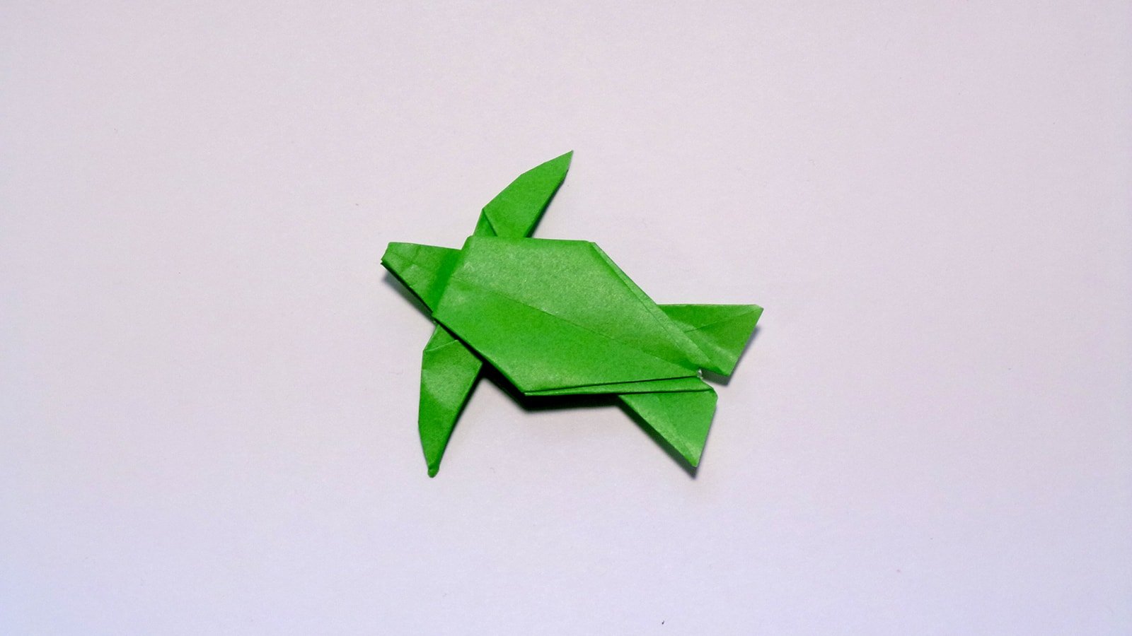 The Leatherback Sea Turtle folded by Me