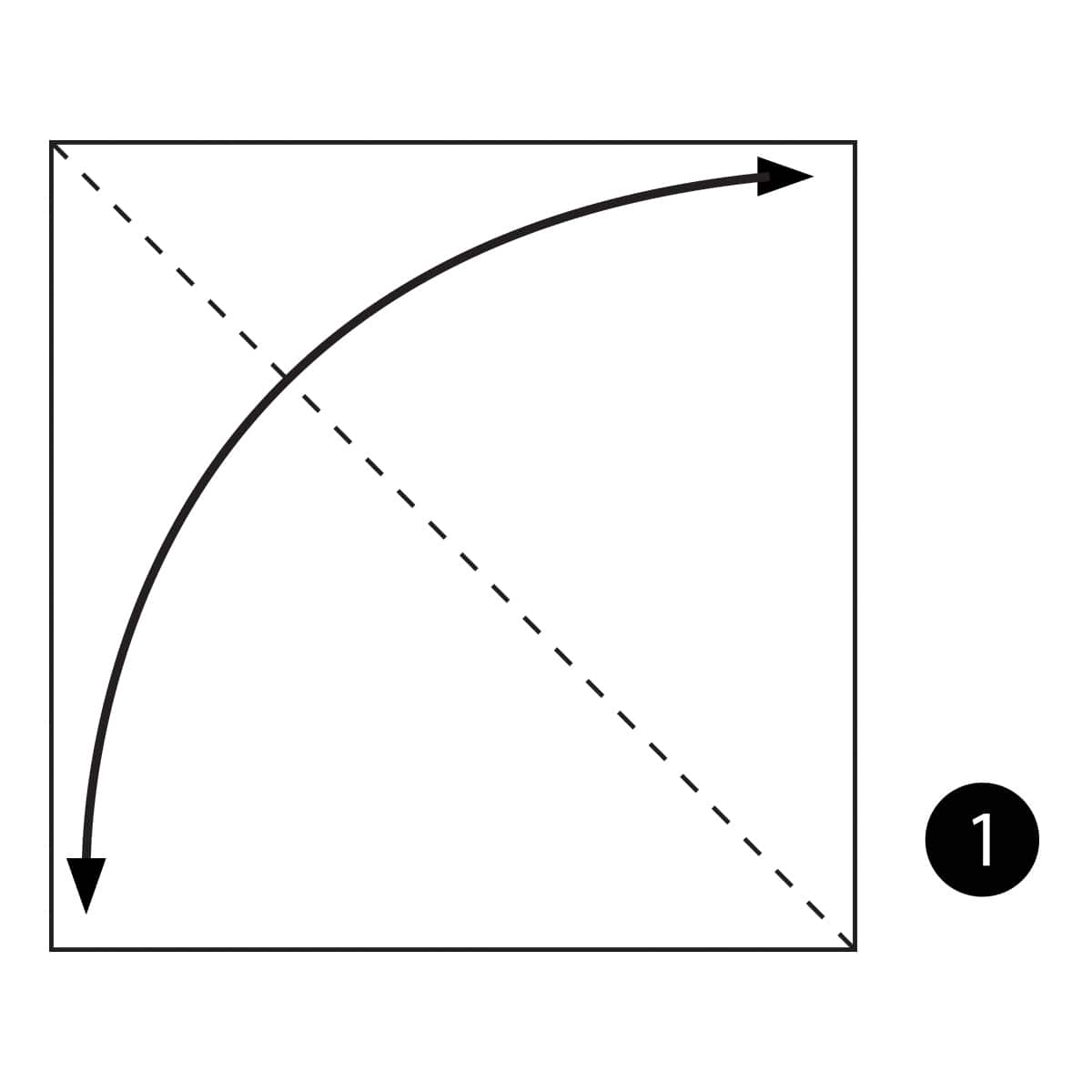 Brachiosaurus Step 1