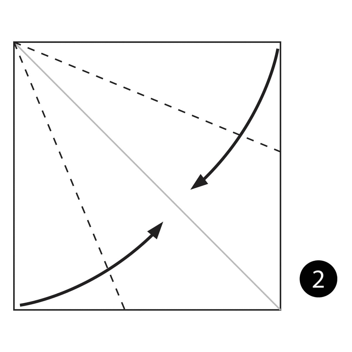 Brachiosaurus Step 2