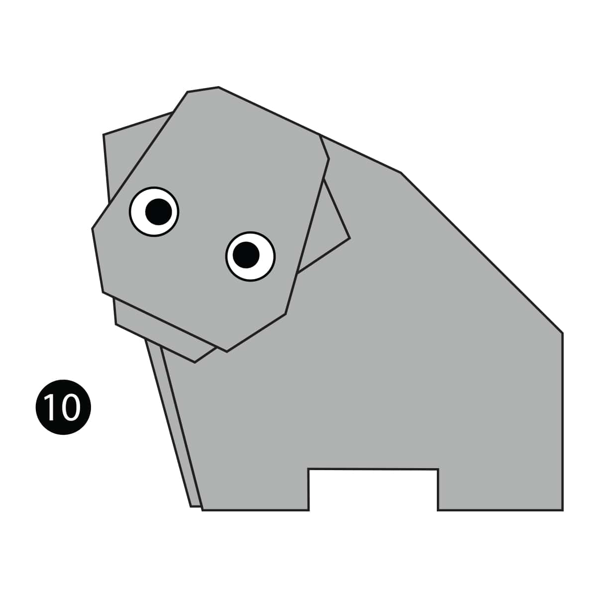 Hippo Step 10