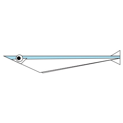 origami sardine