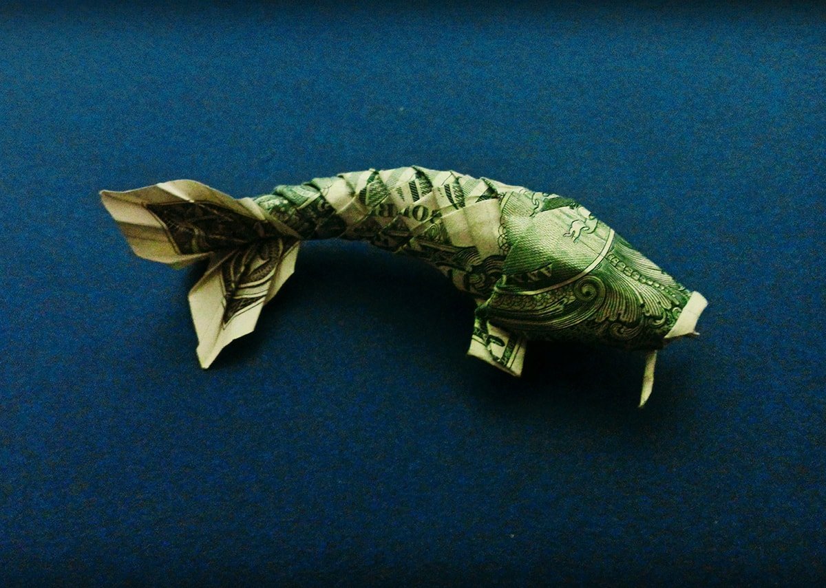 Dollar Koi