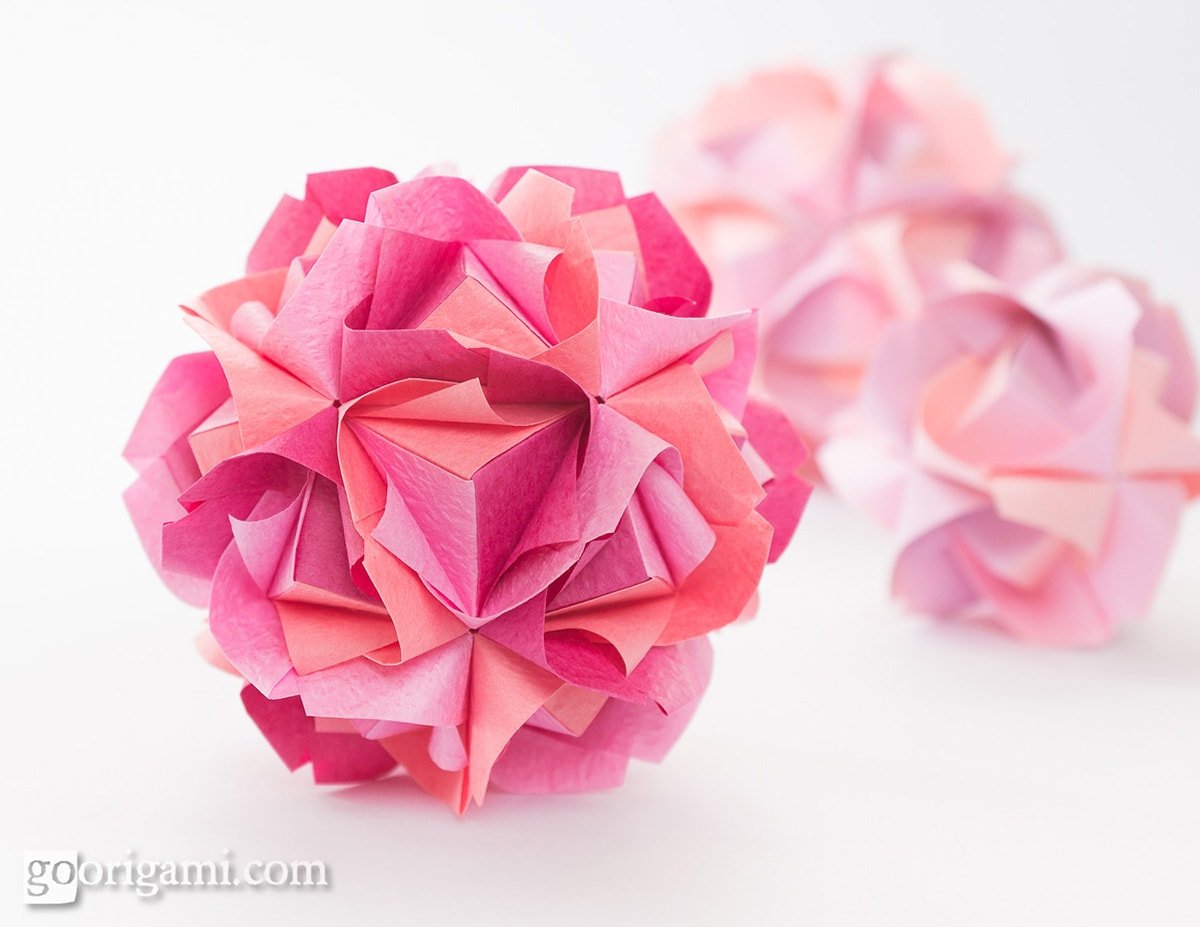 Imperial Rose Sonobe