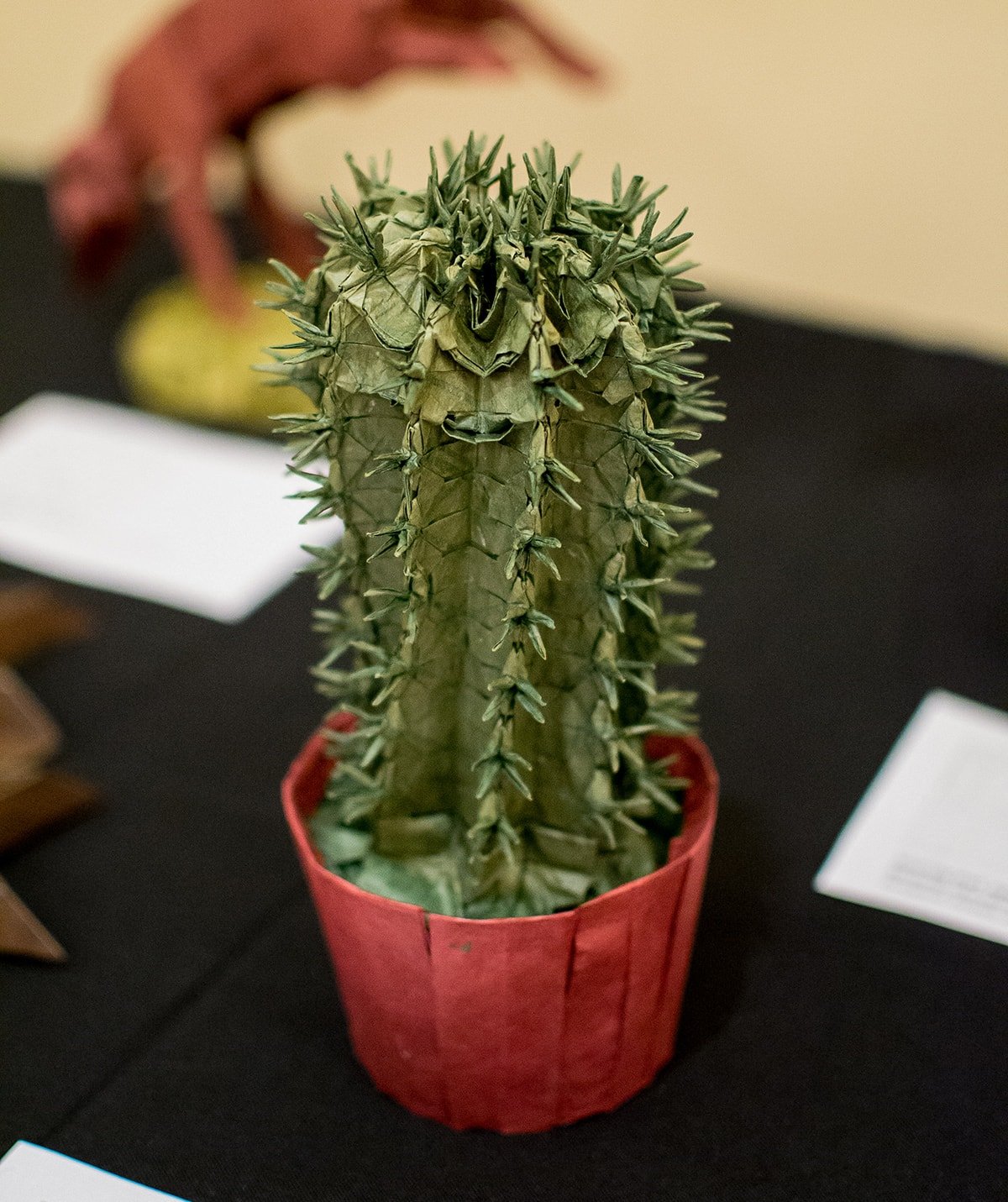 Cactus