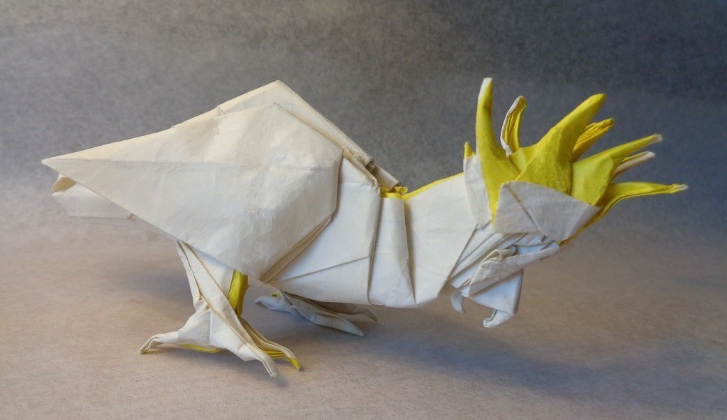 Sulphur-Crested Cockatoo