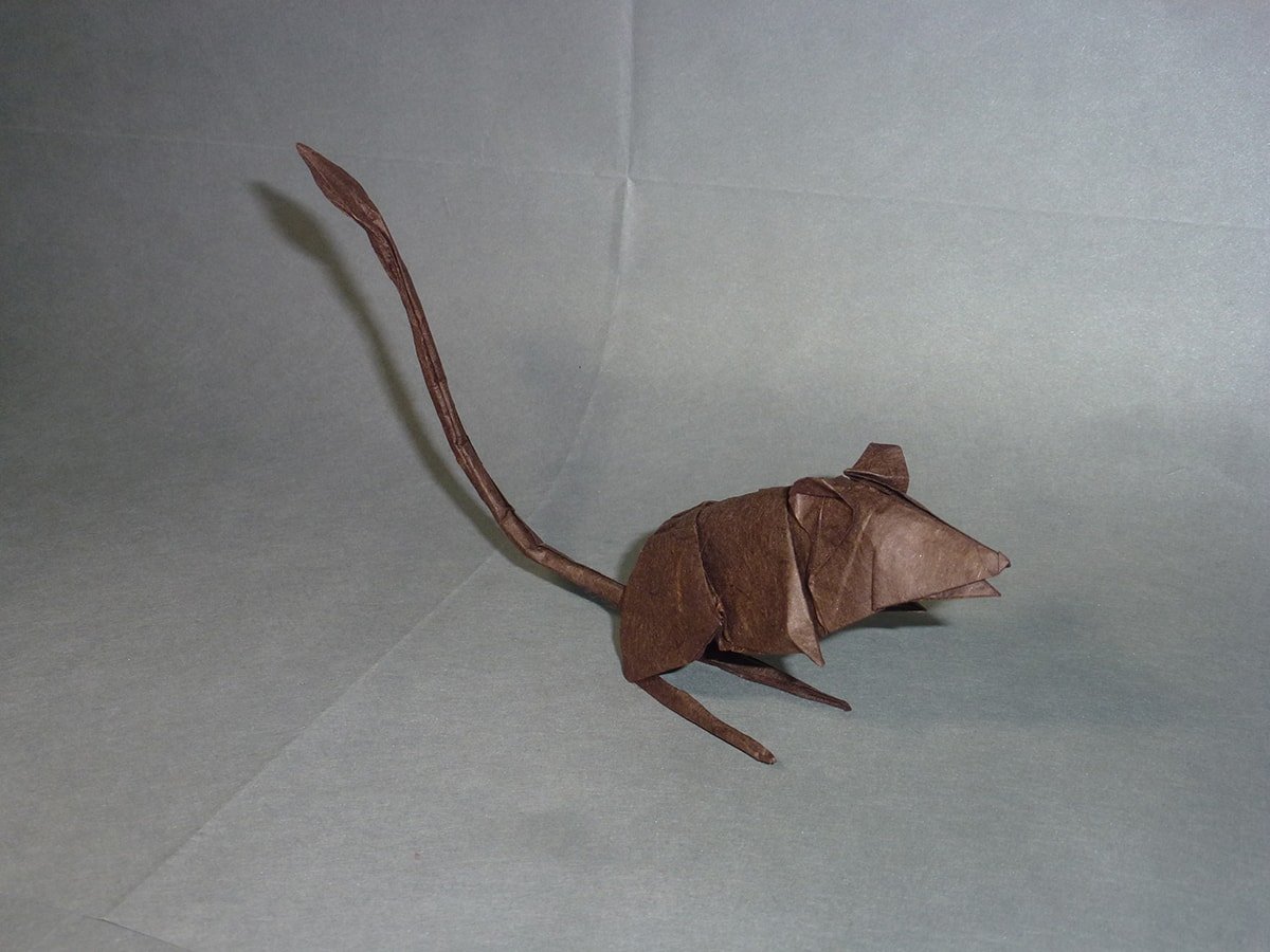 Jerboa