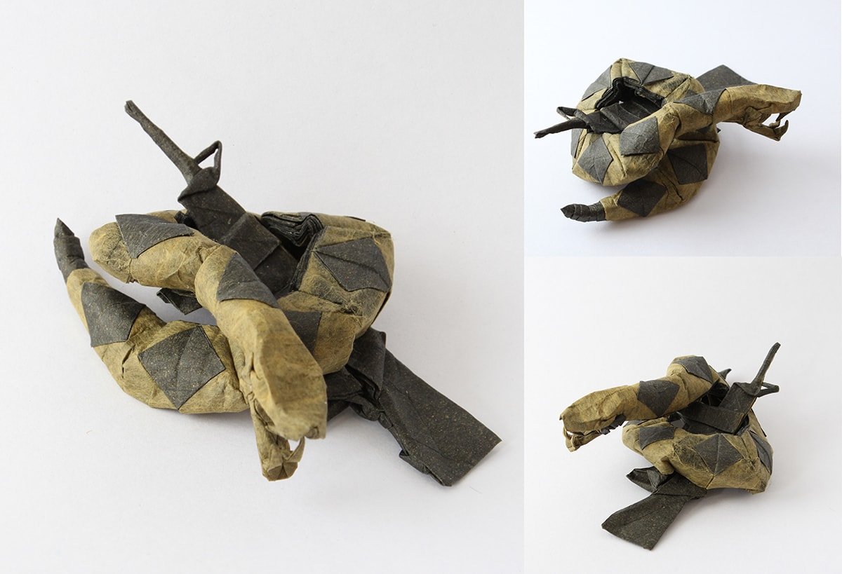 Rattlesnake and AR-15