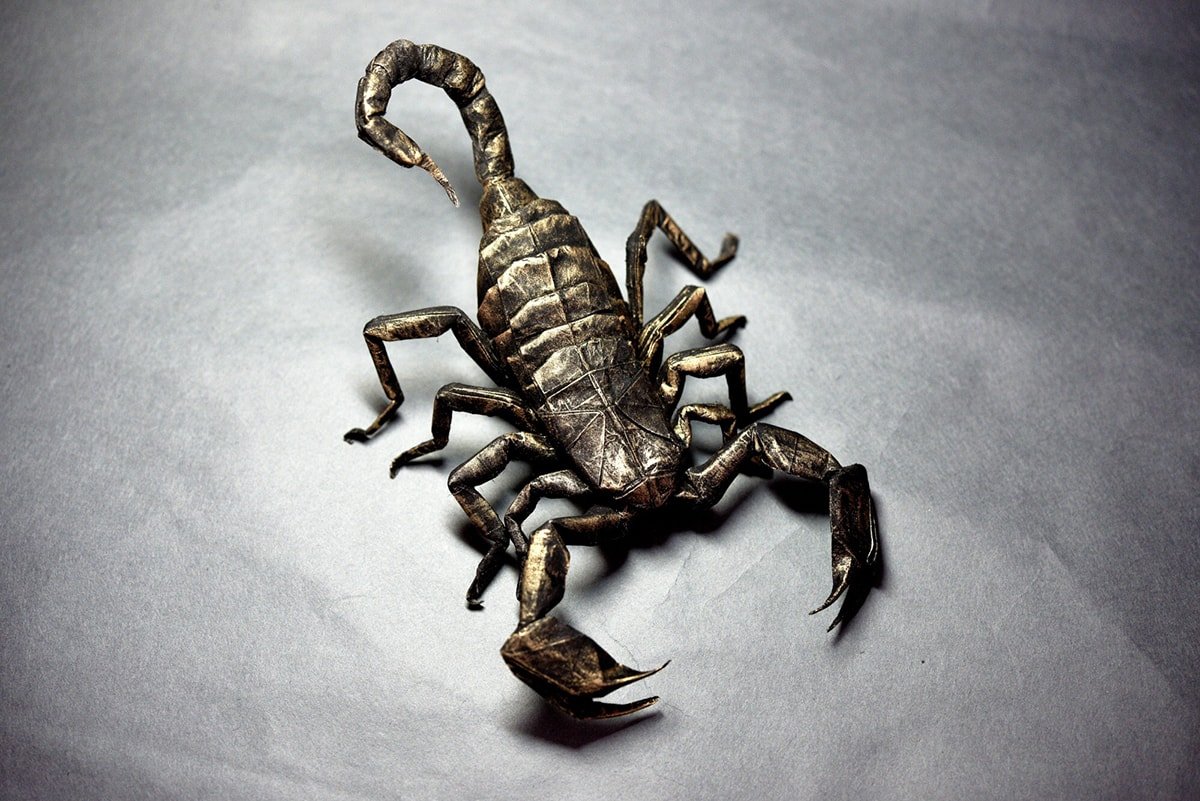 Scorpion