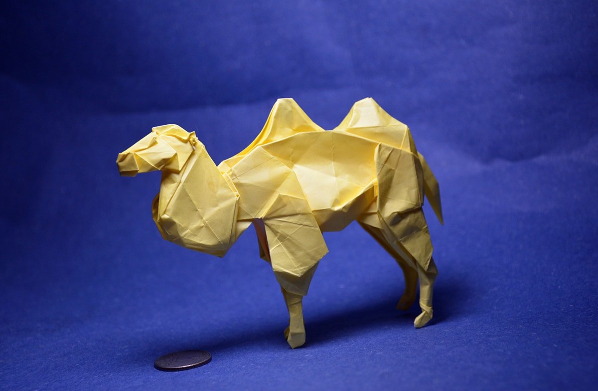 Tiny Bactrian Camel