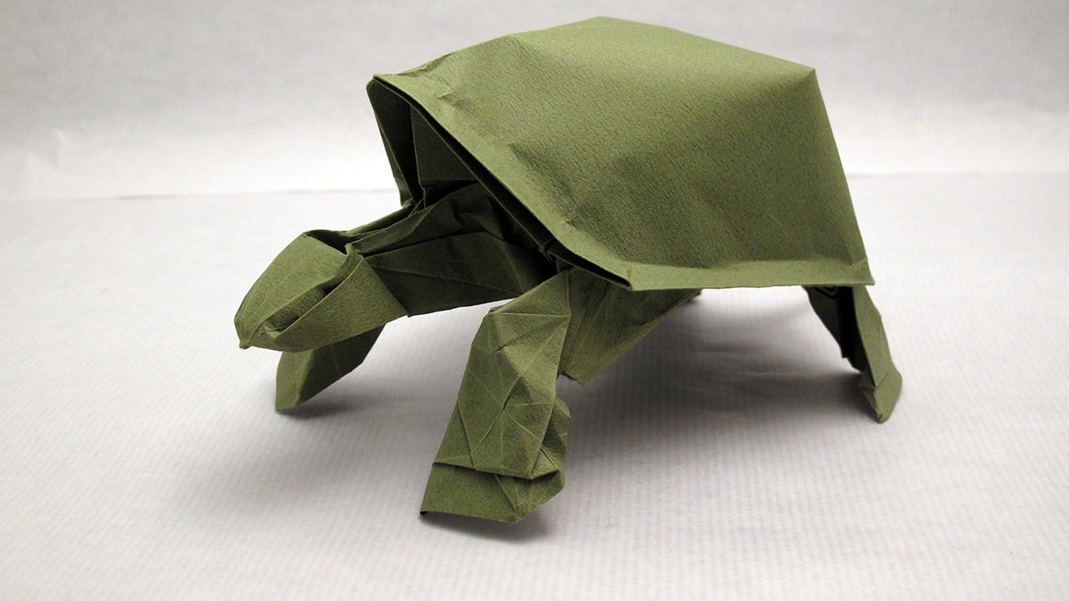 Tortoise