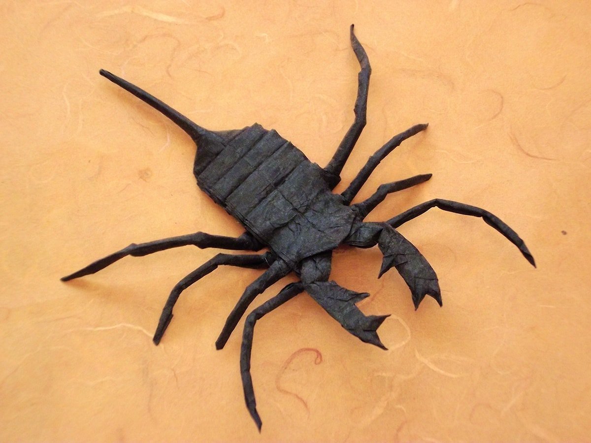Whip Scorpion
