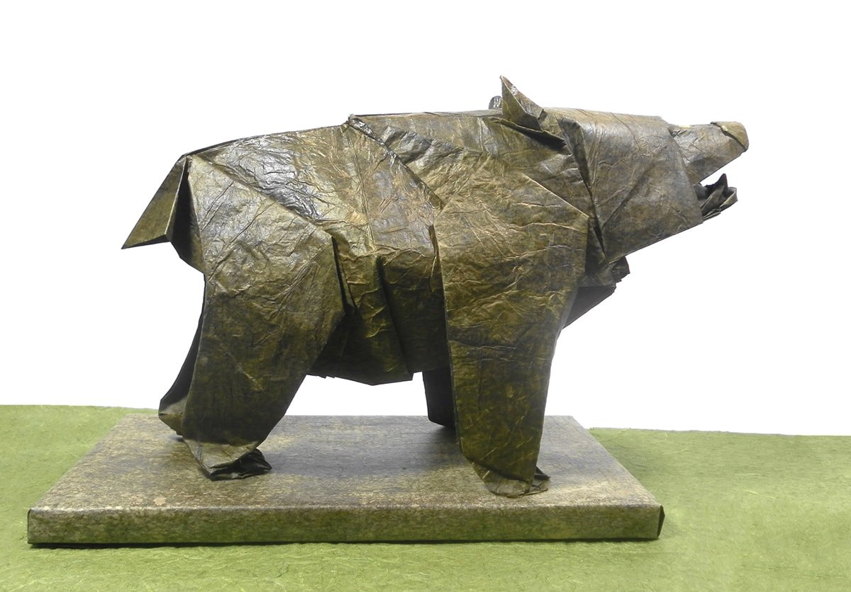 Bear by Nicolas Terry