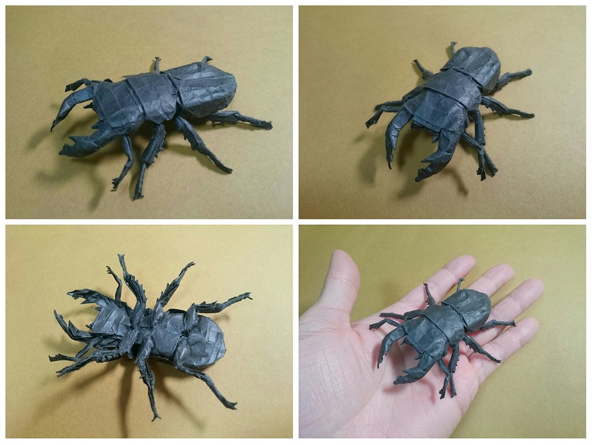 Dorcus hopei binodulosus