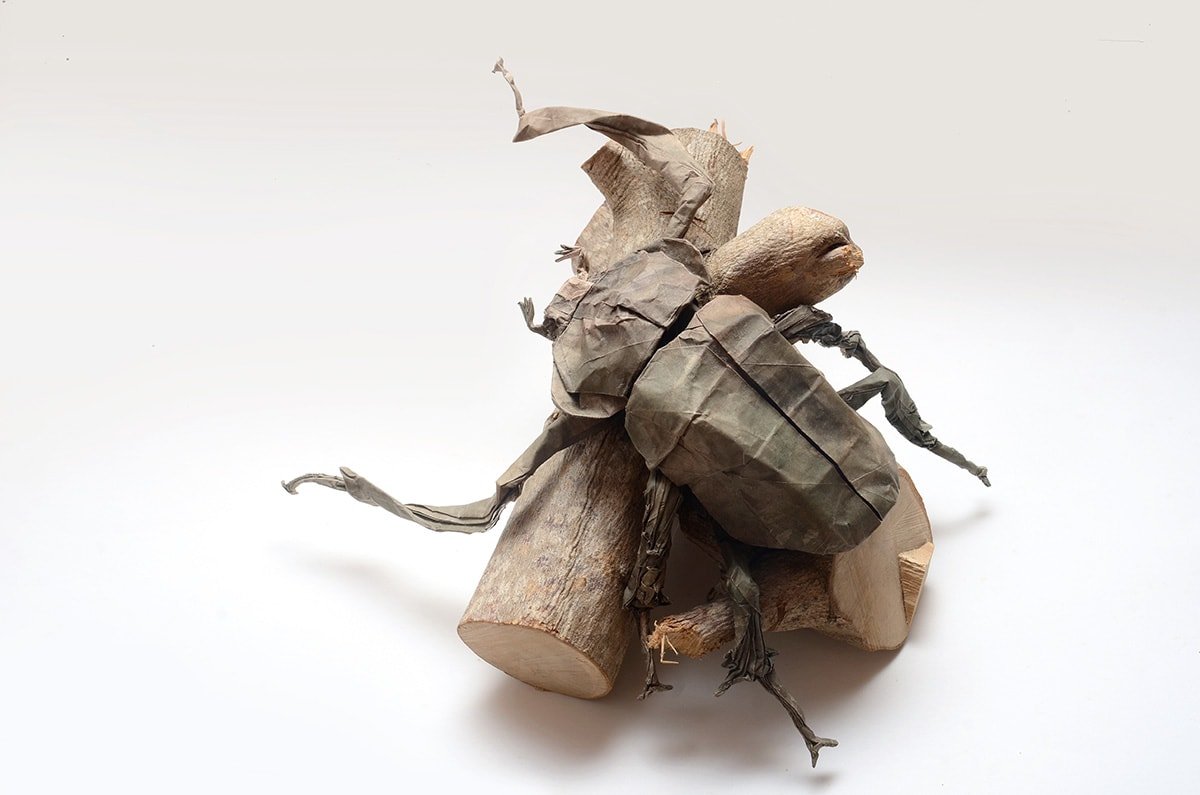 Yanbaru long-armed scarab beetle