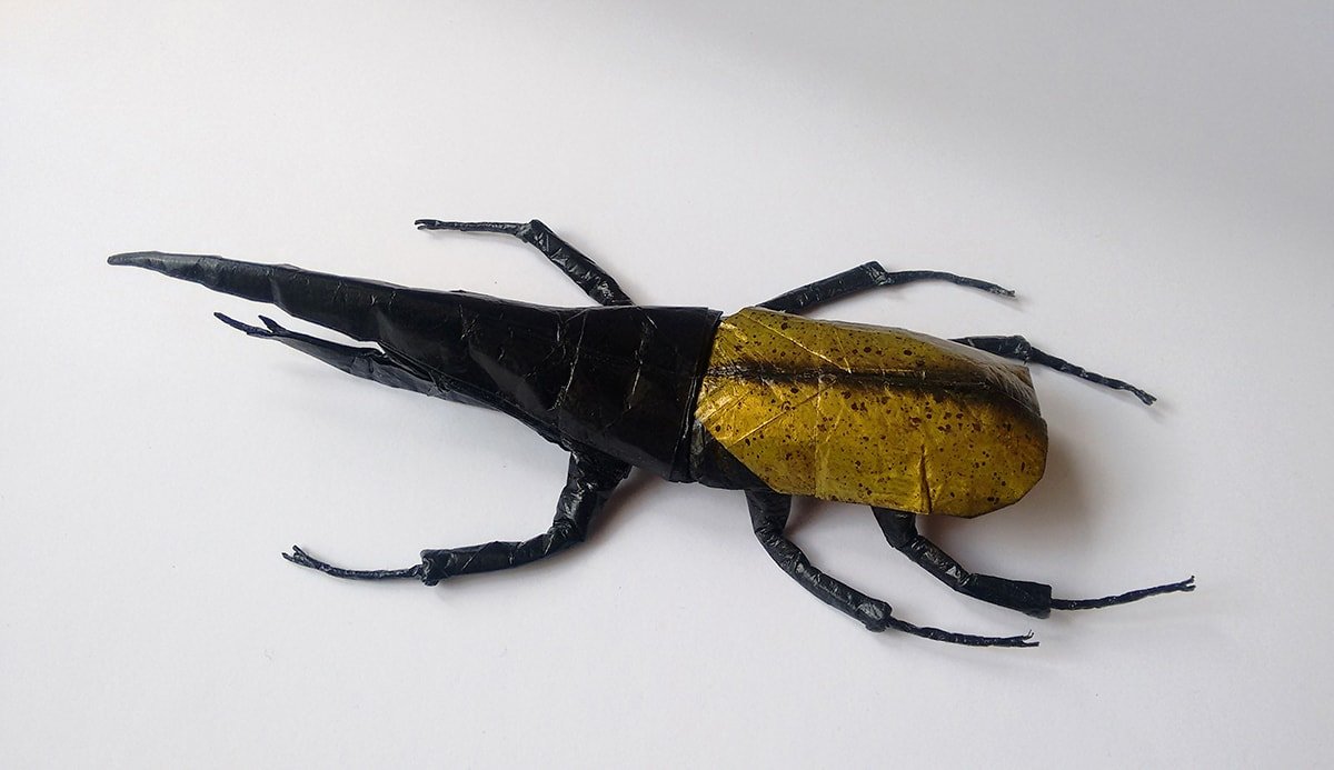 Hercules Beetle