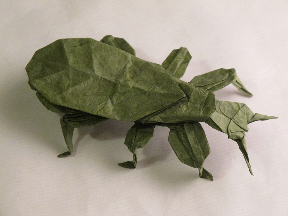 Leaf Insect
