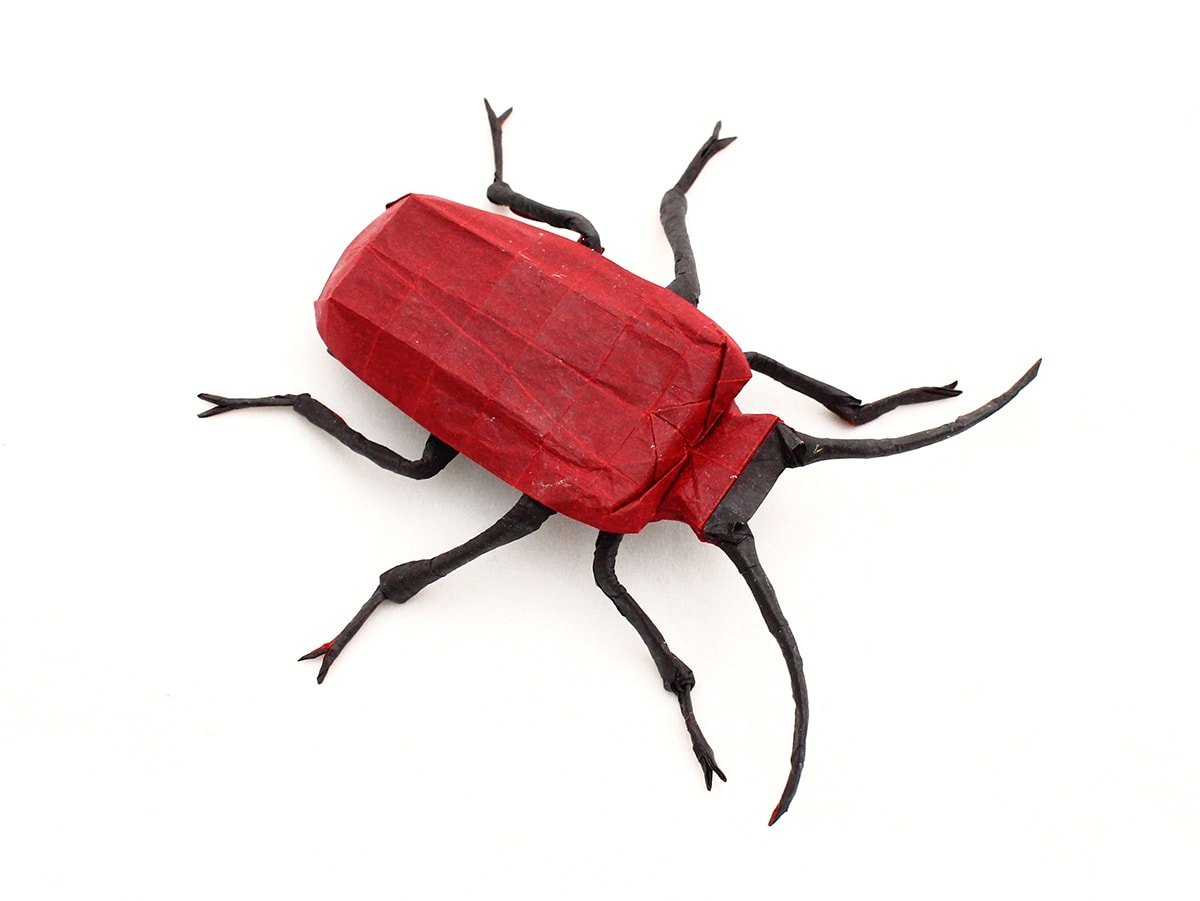 Lily Beetle