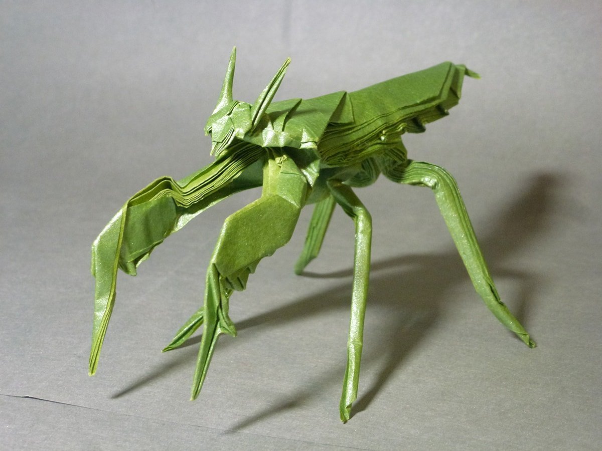 Mantis Boxer