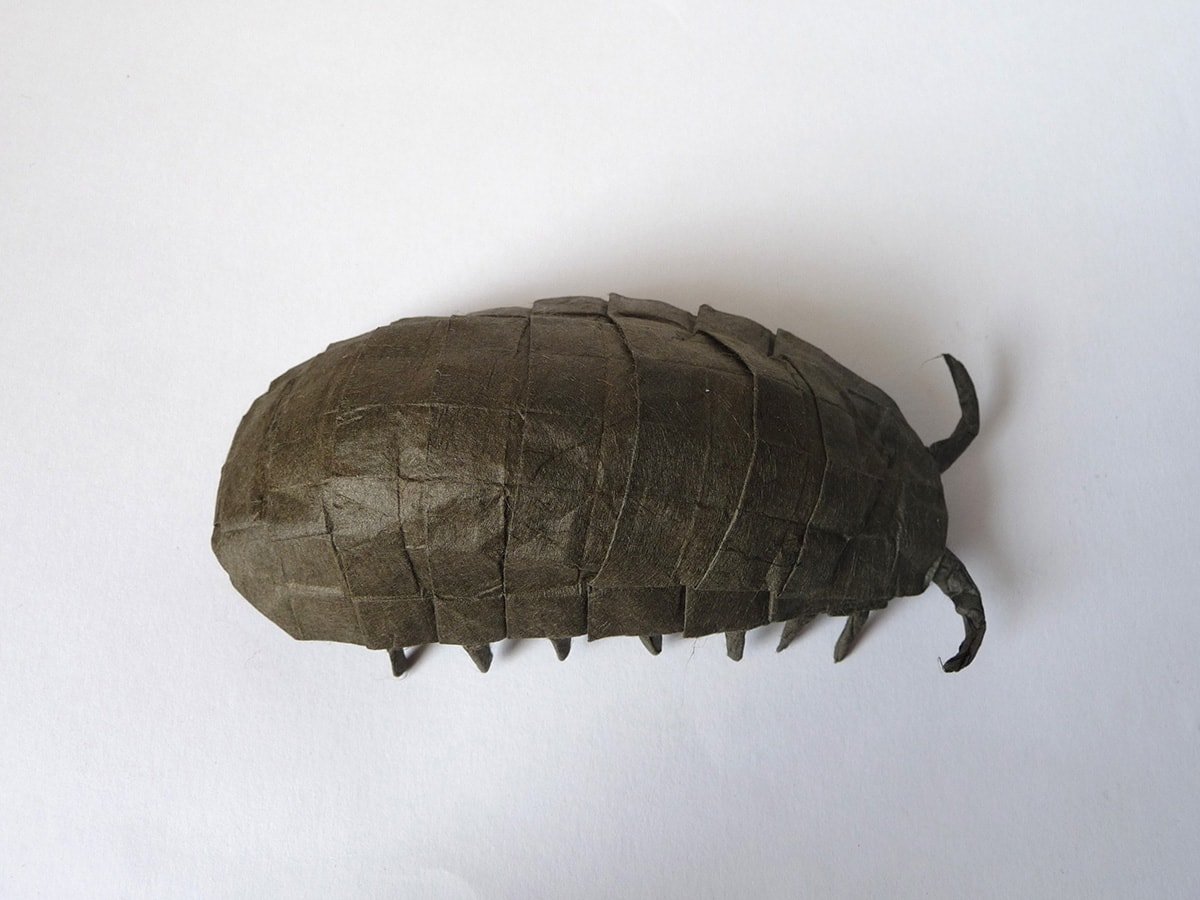 Pillbug