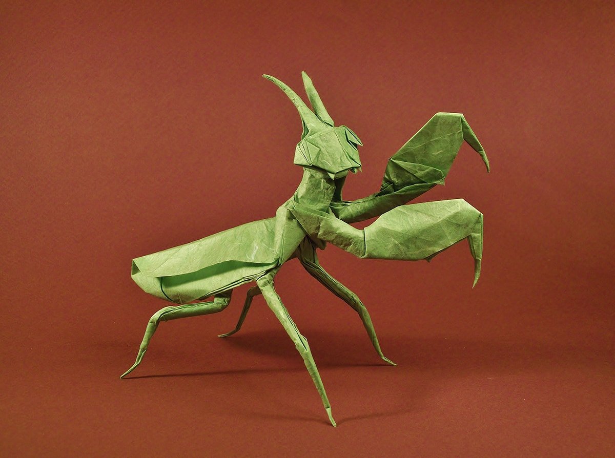 Praying Mantis