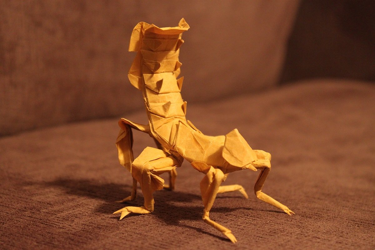 Giant Spiny Stick Insect