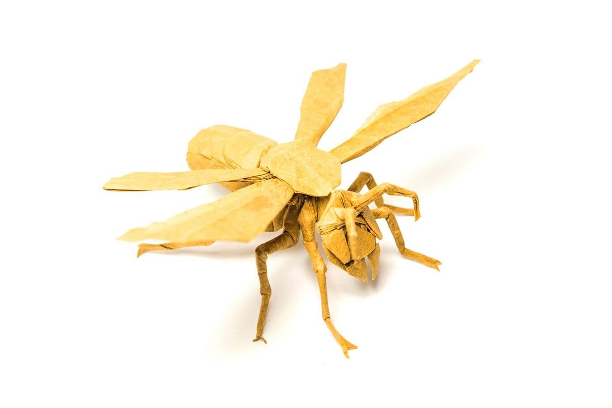 Paper Wasp