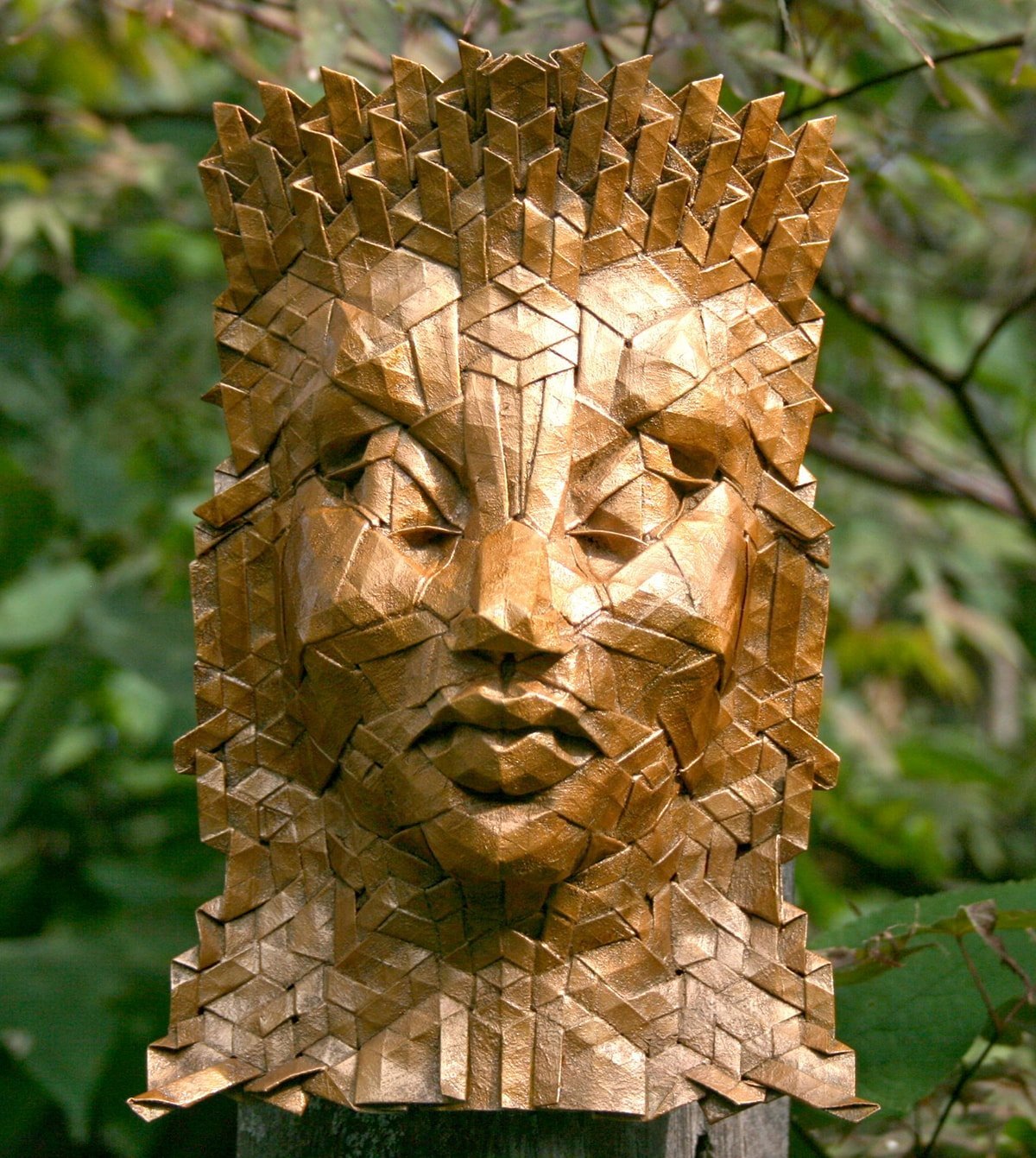 Acantha by Joel Cooper