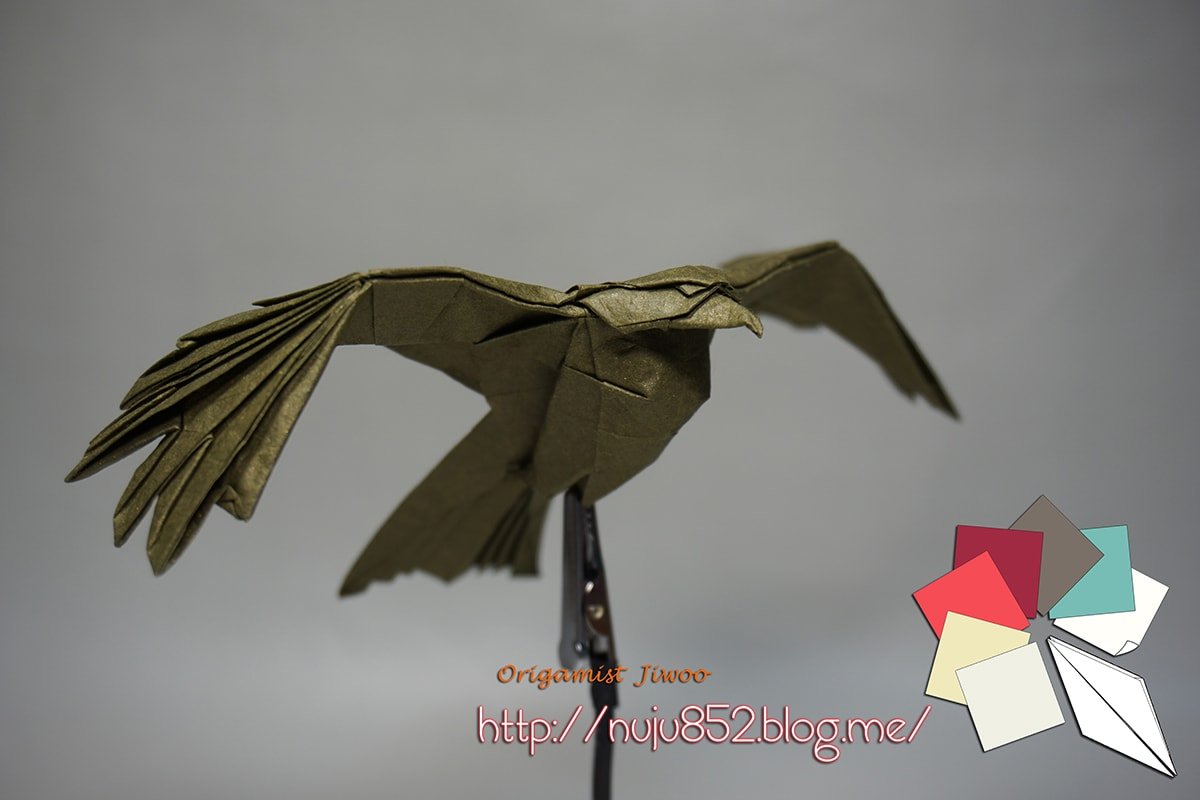 Black Kite by Ji Woo Han