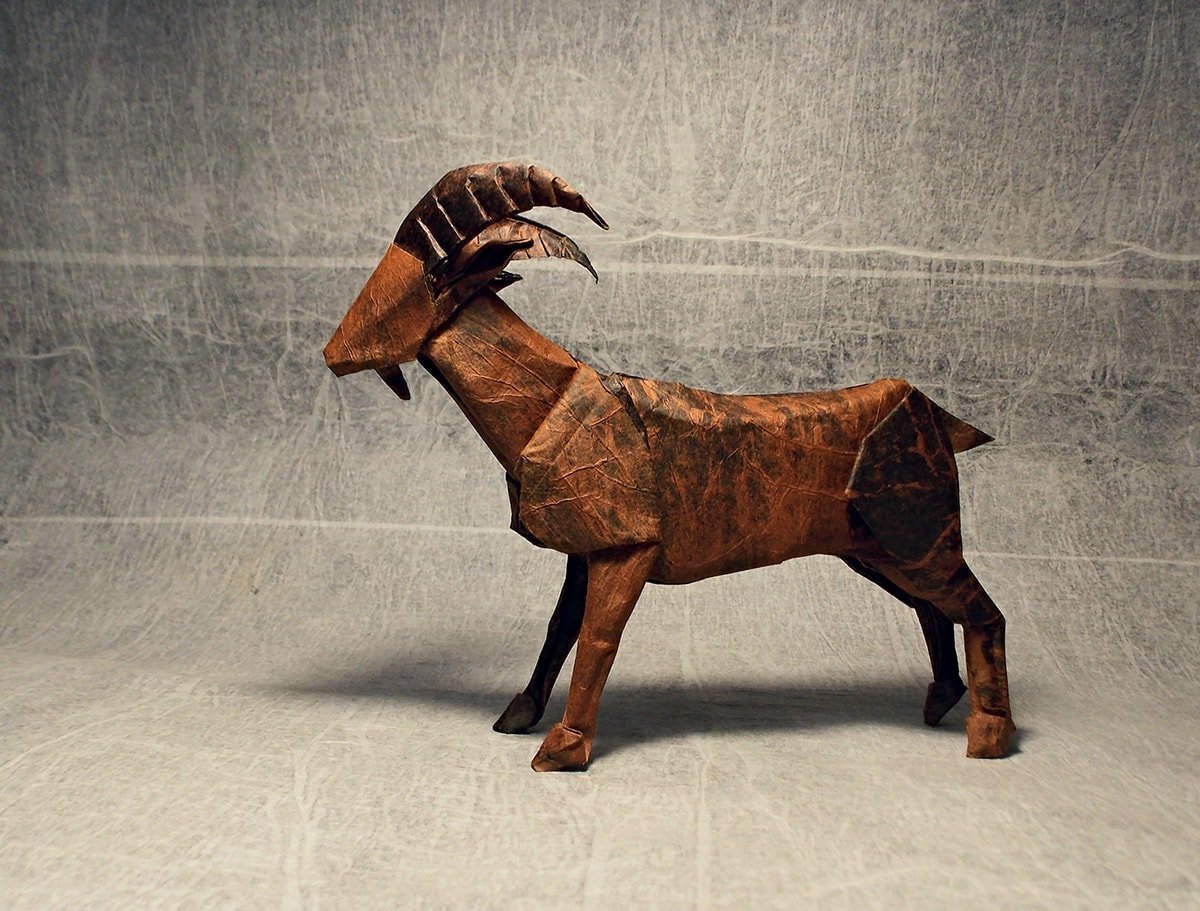 Bucardo by Jhordan Arauzo