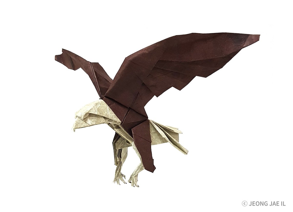 Eagle by Jaeil Jeong