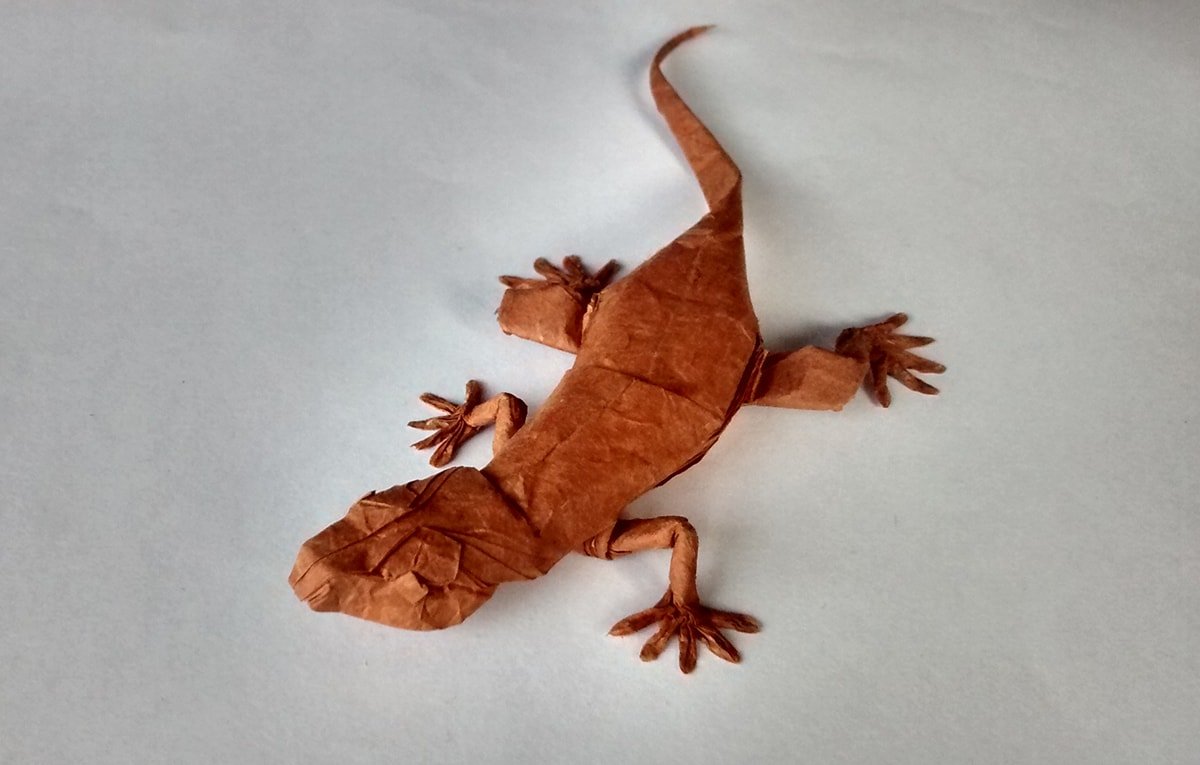 Gecko by Chris Heynen