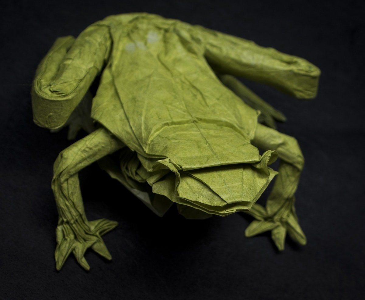 Glass Frog top by Travis Nolan