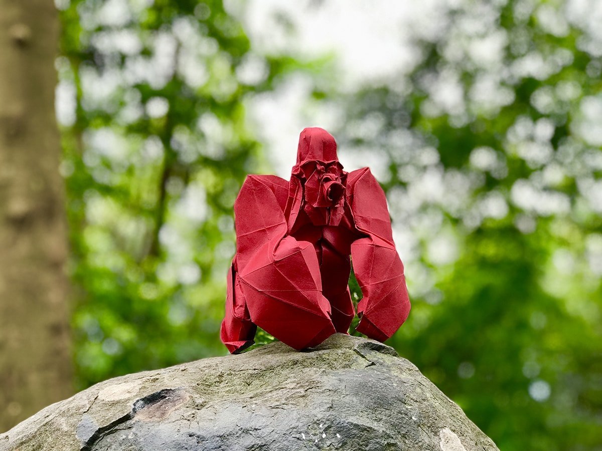 Gorilla by Nguyen Nam Son