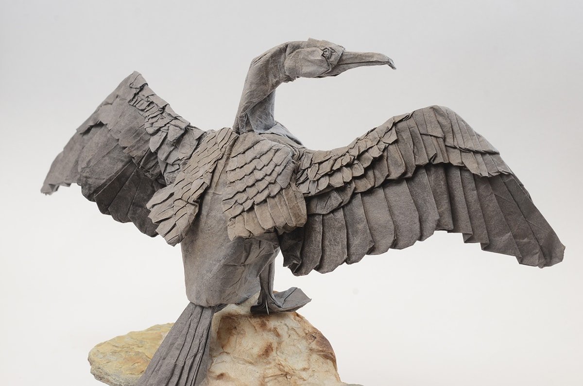 Great Cormorant by Kei Watanabe