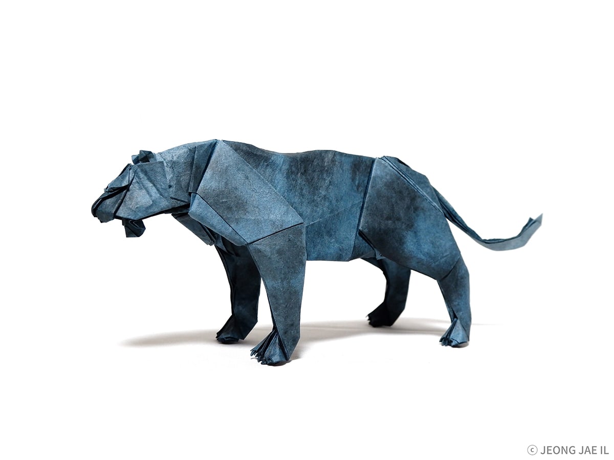 Jaguar by Jaeil Jeong